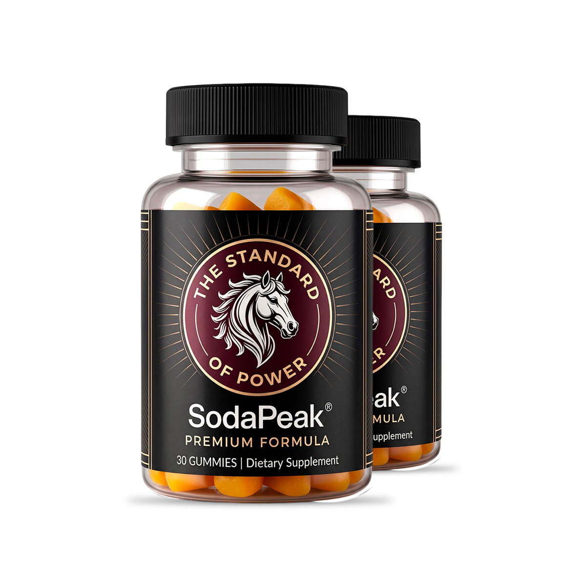 SodaPeak 2 bottles